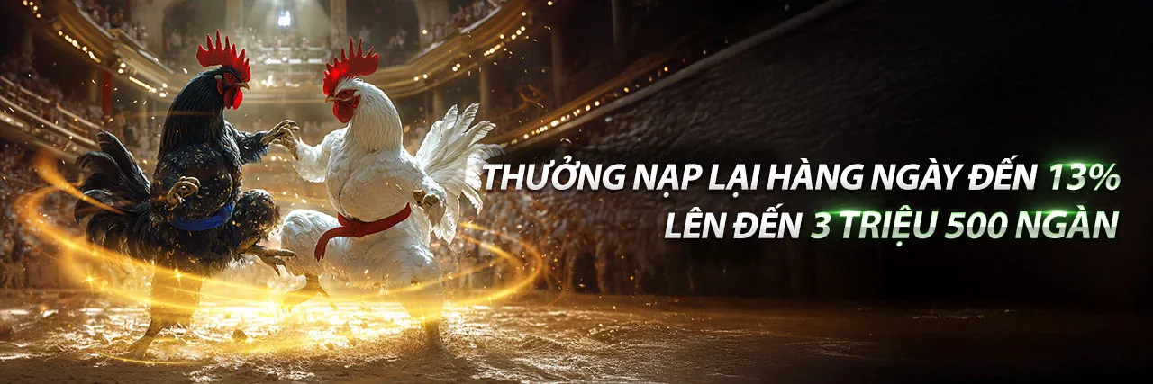 Đá Gà Trực Tuyến banca28 ios